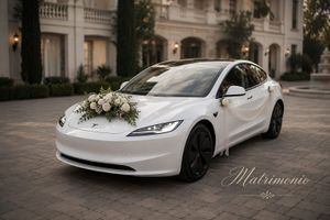 Eventos Tesla RM — foto 2