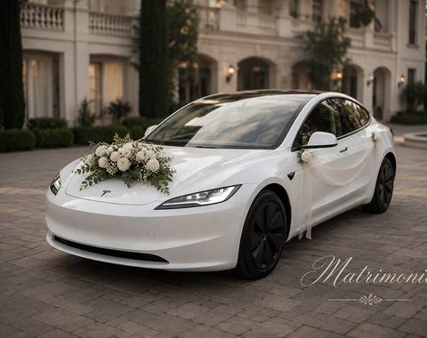 Eventos Tesla RM - Imagen 1