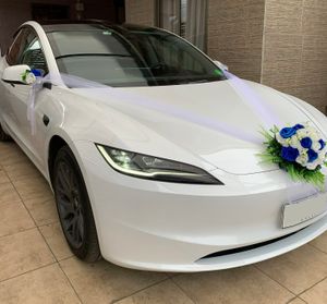 Eventos Tesla RM — foto 3