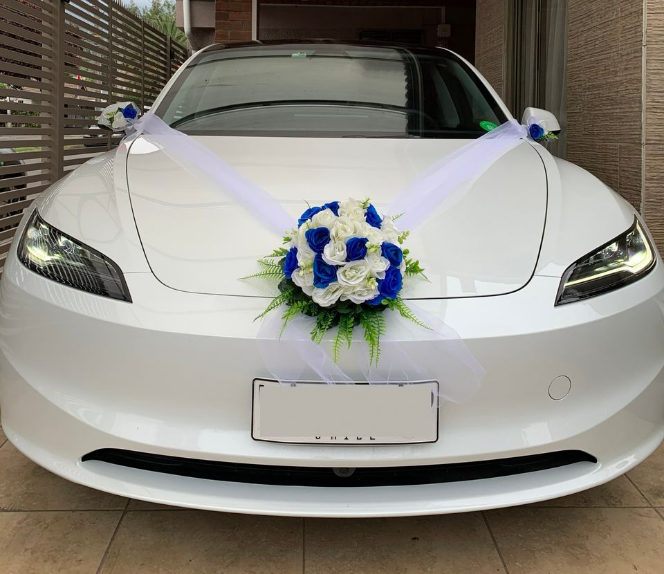 Foto 4 de Eventos Tesla RM - Autos para Matrimonios
