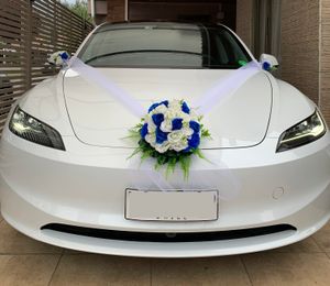 Eventos Tesla RM — foto 5