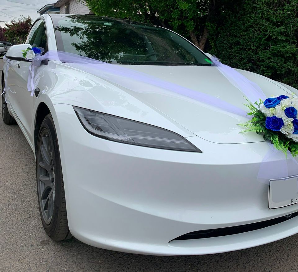 Foto 5 de Eventos Tesla RM - Autos para Matrimonios