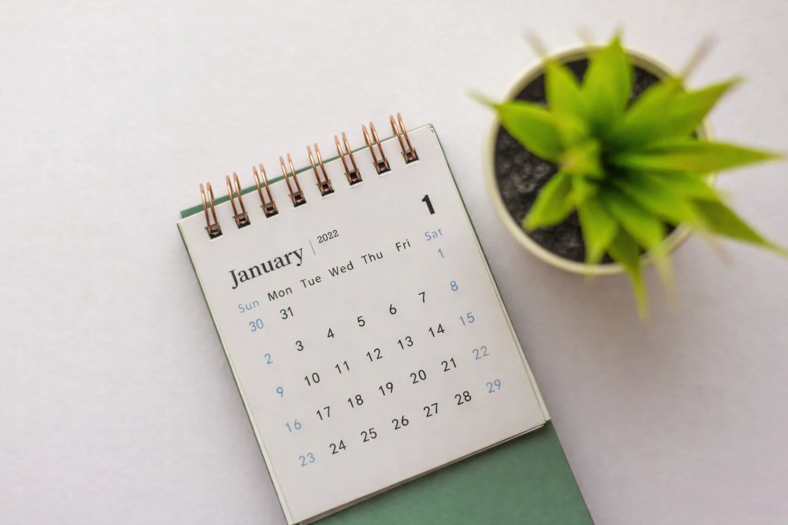 Cuándo reservar cada proveedor para tu matrimonio (y qué se cierra primero)