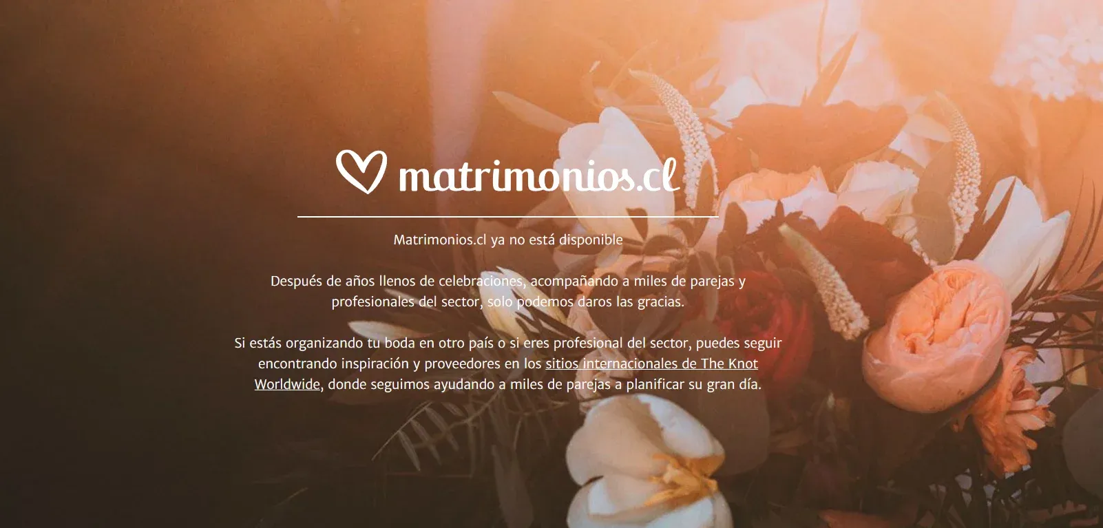 Pareja organizando su matrimonio y buscando proveedores para su celebración