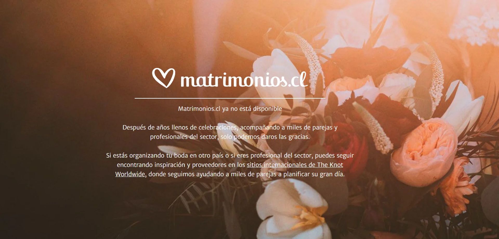 Pareja organizando su matrimonio y buscando proveedores para su celebración