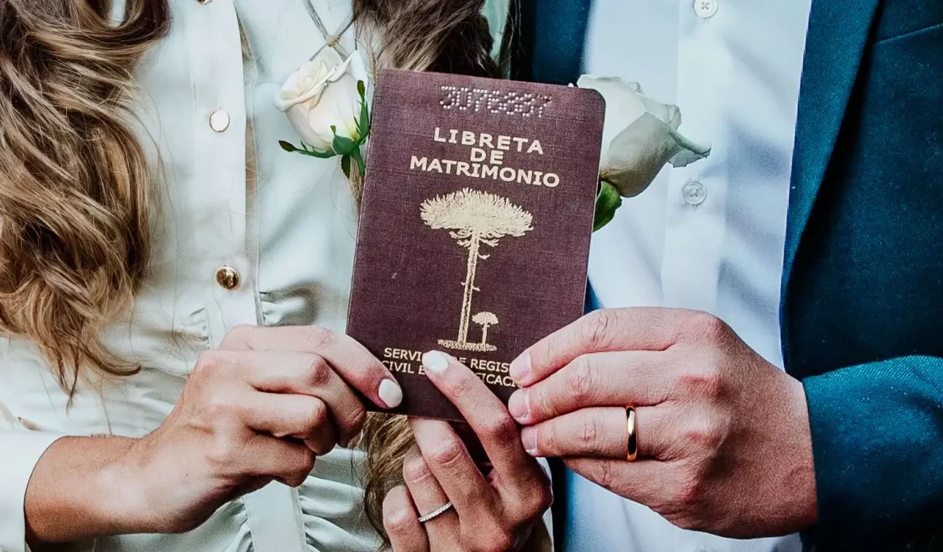 Tipos de matrimonio en Chile: sociedad conyugal y separación de bienes explicadas - Legal y Trámites en Chile | Blog de matrimonios Weddy